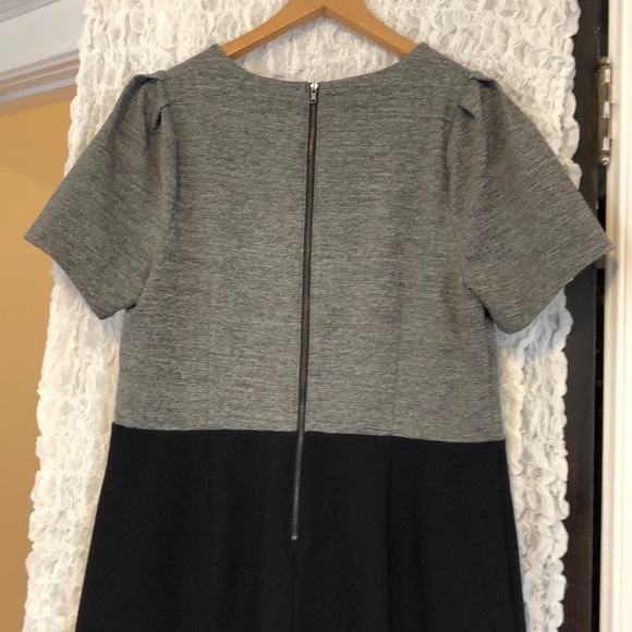 Loft dress black and grey with exposed zipper. - Picture 3 of 3